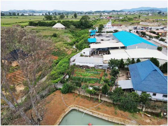 Mingxin Concentrator 